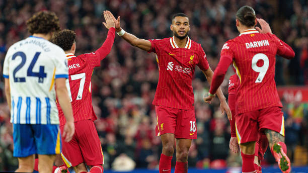 仅为球迷奉 仅为球迷奉